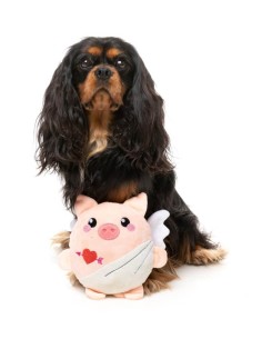 FUZZYARD Cupig - Juguete para Perros 2