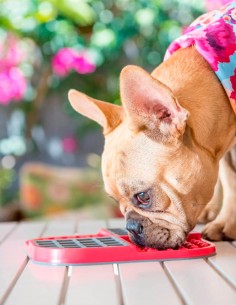 LickiMat Slomo Rojo - Comedero Antivoracidad para Perros 2