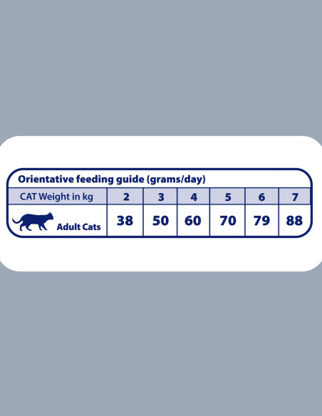 NATURAL GREATNESS Diet Vet Renal-Oxalate 5Kg - Pienso para Gatos