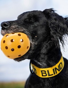Pelota de goma natural con agujeros y cascabel 7 cm 2