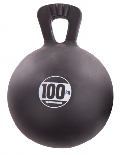 Bola de vinilo con Asa 22cm - Para Perros