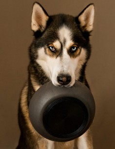 District 70 Comedero de Bambú Natural Negro S - Para Perros 2