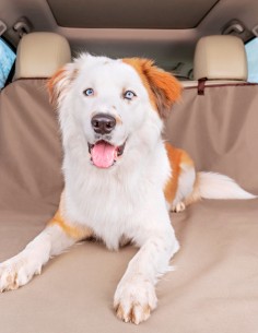 Protector Impermeable para Asientos de Coche Beige 2