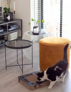 District 70 Rascador SPY Interactivo de Cartón Negro -... 2