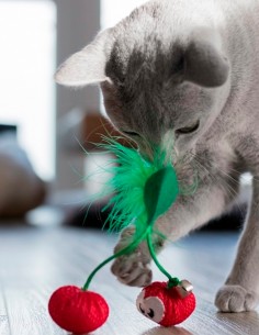 Juguete Dental Cerezas con Catnip - Para Gatos 2