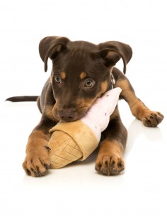 FUZZYARD Ice Cream - Peluche para perro 2