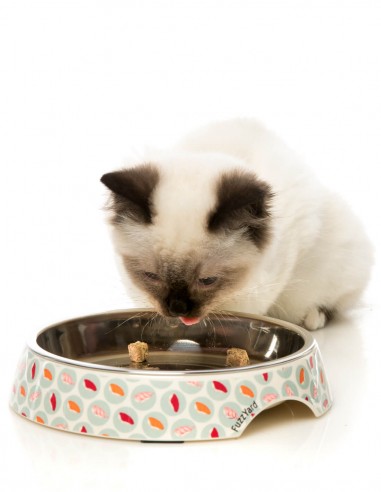 FUZZYARD Sushi Delight - Comedero Plano para Gatos