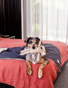 FuzzYard LIFE Manta Reversible - Slate Grey S