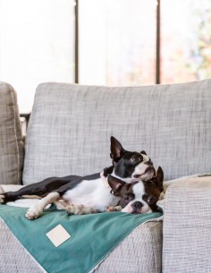 FuzzYard LIFE Manta Reversible - Myrtle Green S