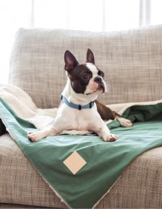 FuzzYard LIFE Manta Reversible - Myrtle Green L 2