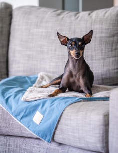 FuzzYard LIFE Manta Reversible - French Blue S