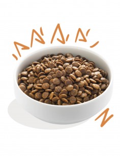 EDGARD COOPER Pollo con Mango, Arándanos, Manzana 12 Kg -... 2