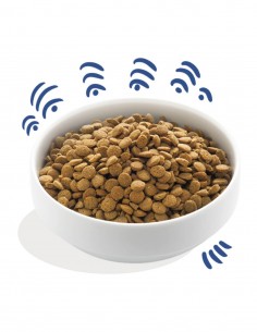 EDGARD COOPER Salmón con Remolacha, Manzana y Mango 7 Kg... 2