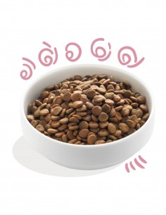 EDGARD COOPER Pollo y Pato con Plátano, Mango y Guisantes... 2