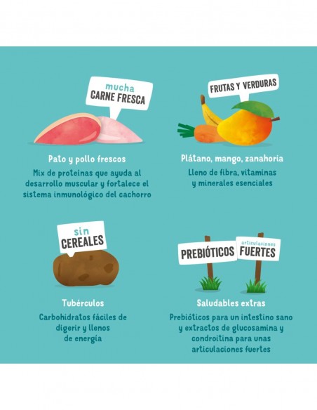 EDGARD COOPER Pollo y Pato con Plátano, Mango y Guisantes 7kg - Pienso Grain Free Cachorro