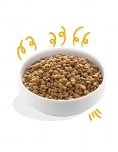 EDGARD COOPER BIO Pavo y Pollo con Zanahoria y Pera 7 Kg... 2