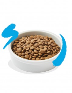 EDGARD & COOPER Salmón con Arándanos 4 Kg - Pienso Grain... 2