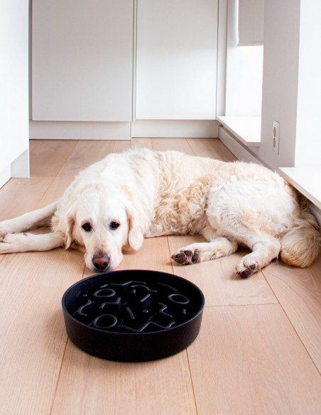 District 70 Comedero Antivoracidad Bambú Negro L - Para Perros