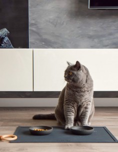 District 70 Mantel Elegante Gris oscuro - Para Perros y... 2