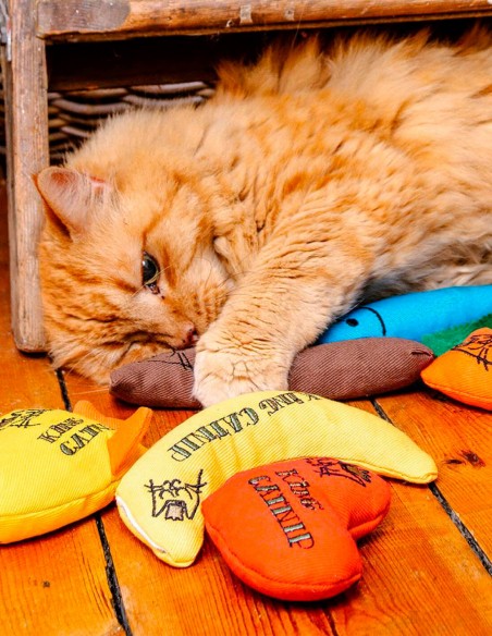 KING CATNIP Espadín con Catnip 100% Orgánico - Juguete para Gatos