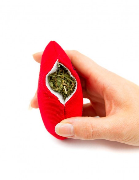 KING CATNIP Corazón con Catnip 100% Orgánico - Juguete para Gatos