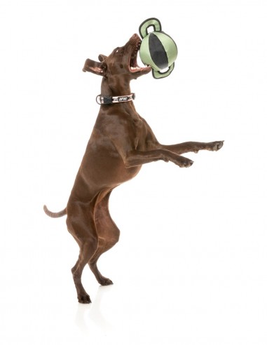 FUZZYARD Active Pelota TUG Khaki - Juguete para...