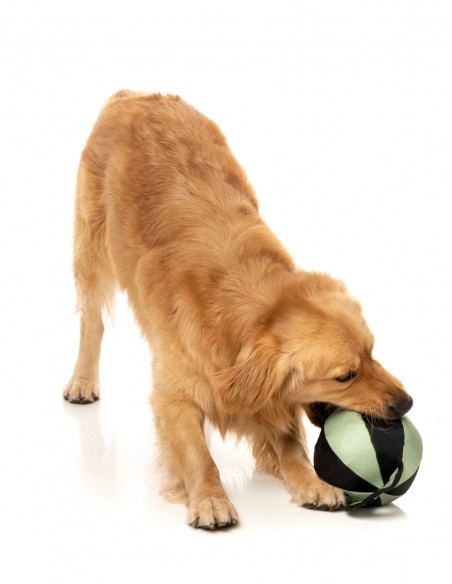 FUZZYARD Active Pelota TUG Khaki - Juguete para Perros