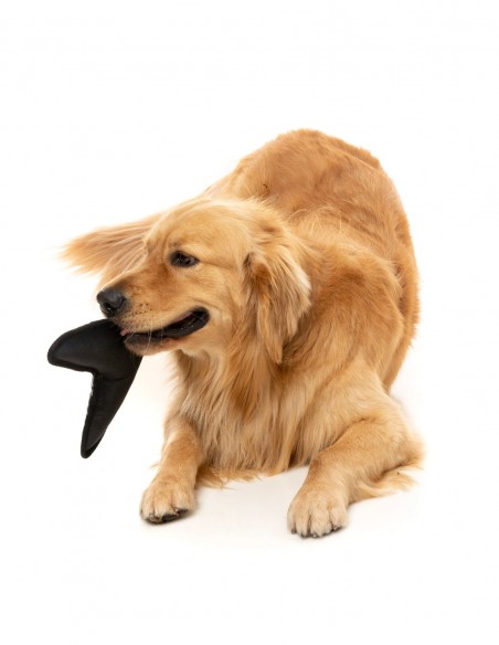 FUZZYARD Active Flyer Negro - Juguete para Perros