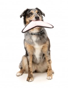 FUZZYARD Active Flyer Rosa - Juguete para Perros 2