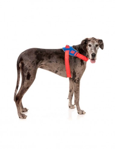 FuzzYard Arnés Flash Patriot L