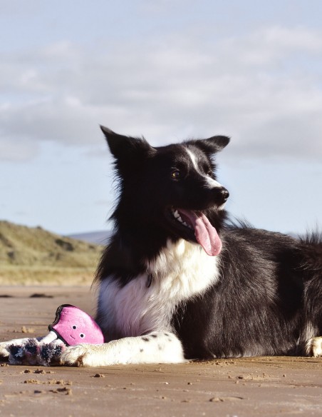 Beco Lolo Pulpo de Plastico Reciclado - Juguete para Perros