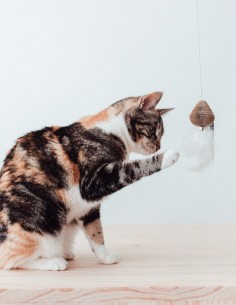 District 70 Caña con Peonza y Plumas Blancas - Juguete... 2