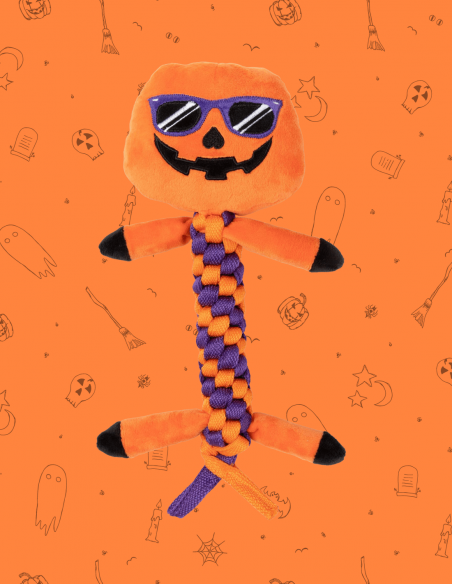 FuzzYard Halloween - Gourdan Ramsay