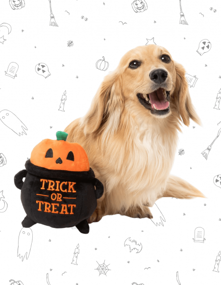FuzzYard Halloween - Trick Or Treat Cauldron