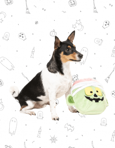 FuzzYard Halloween - Gauzetin Powers