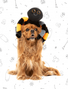 FuzzYard Halloween - Terri Tarantula 2