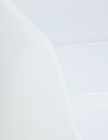 Bandeja Higiénica Simao con Borde Blanca - Para Gatos