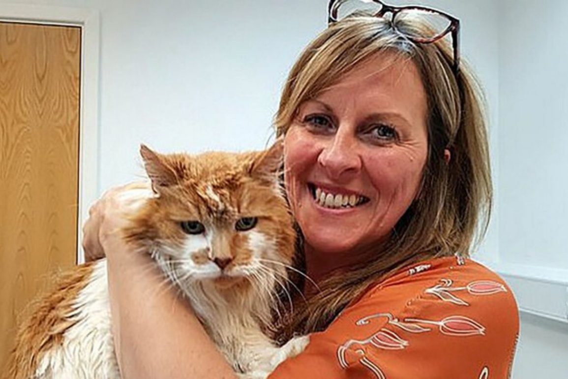 Regularidad Formular afeitado Muere a los 31 años Rubble, el gato más viejo del mundo - Pampermut Blog