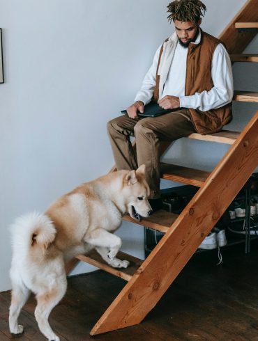 Mi perro tiene miedo a las escaleras