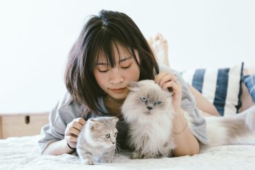 Consejos para ganarse la confianza de un gato