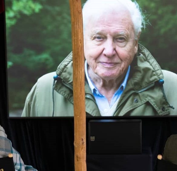 David Attenborough Una vida en nuestro planeta