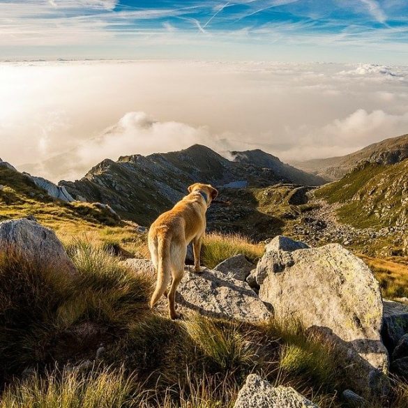 RECORREMOS CASTILLA LA MANCHA