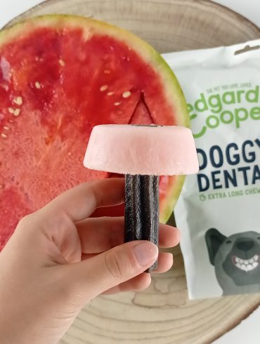 receta perro helado y stick dental