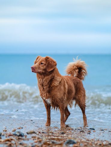 recorremos Cataluña
