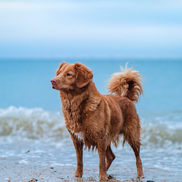 recorremos Cataluña