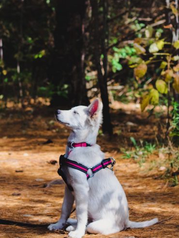 recorremos castilla y león