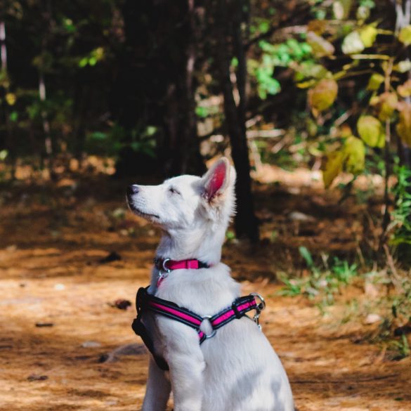 recorremos castilla y león