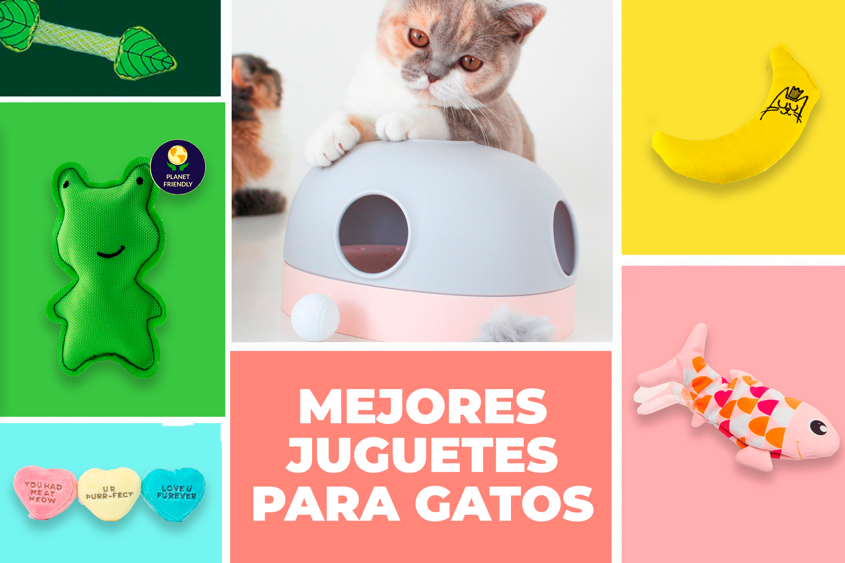 JUGUETE PEZ CON MOVIMIENTO – My Pet Store - Tienda de mascotas Online