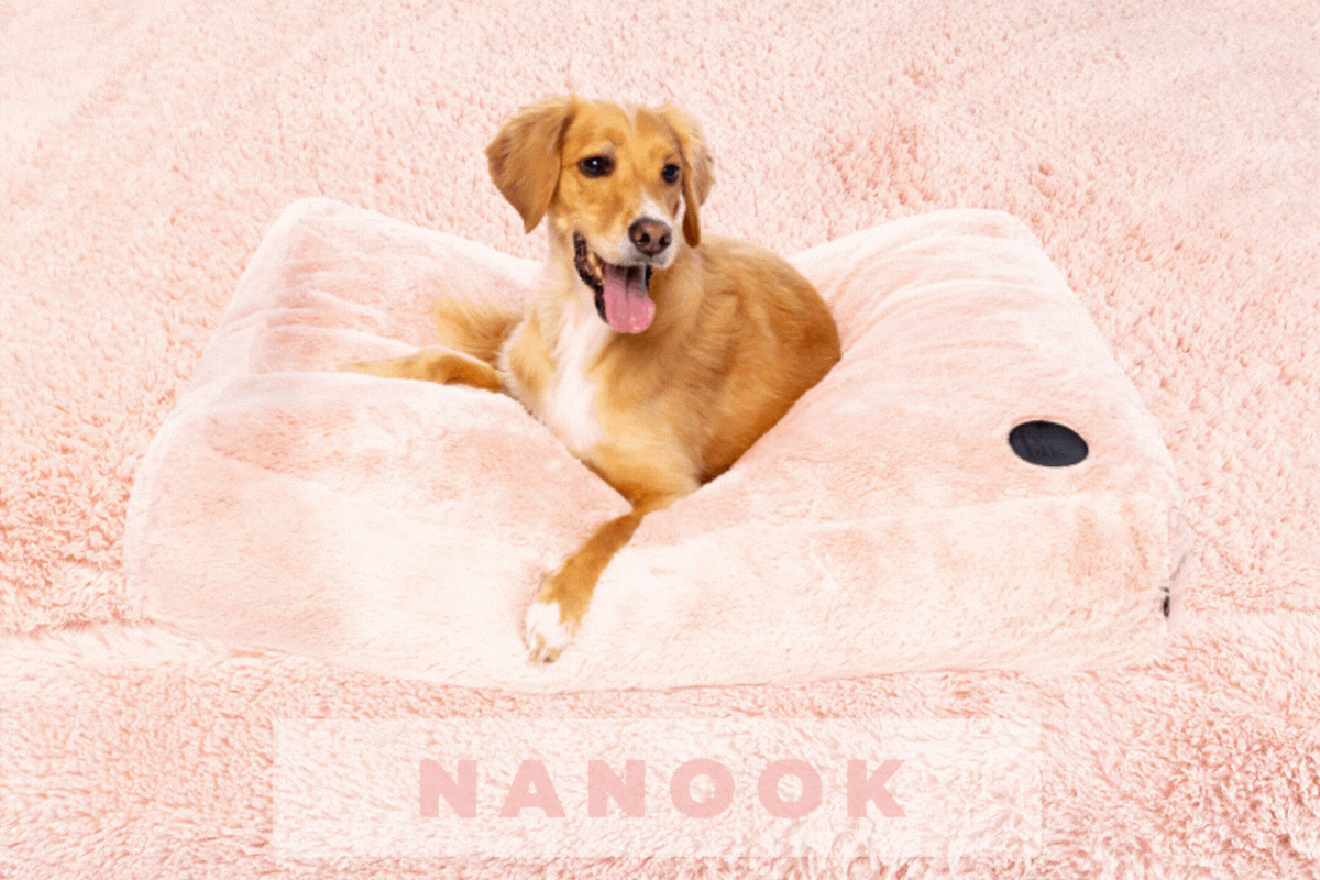 camas nanook para perros y gatos fuzzyard