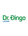 Dr Dingo